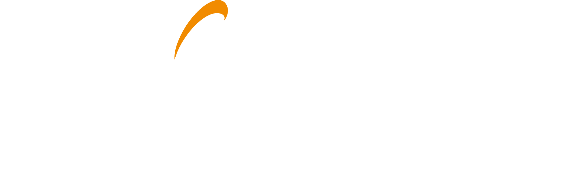 Logo Allingua négatif